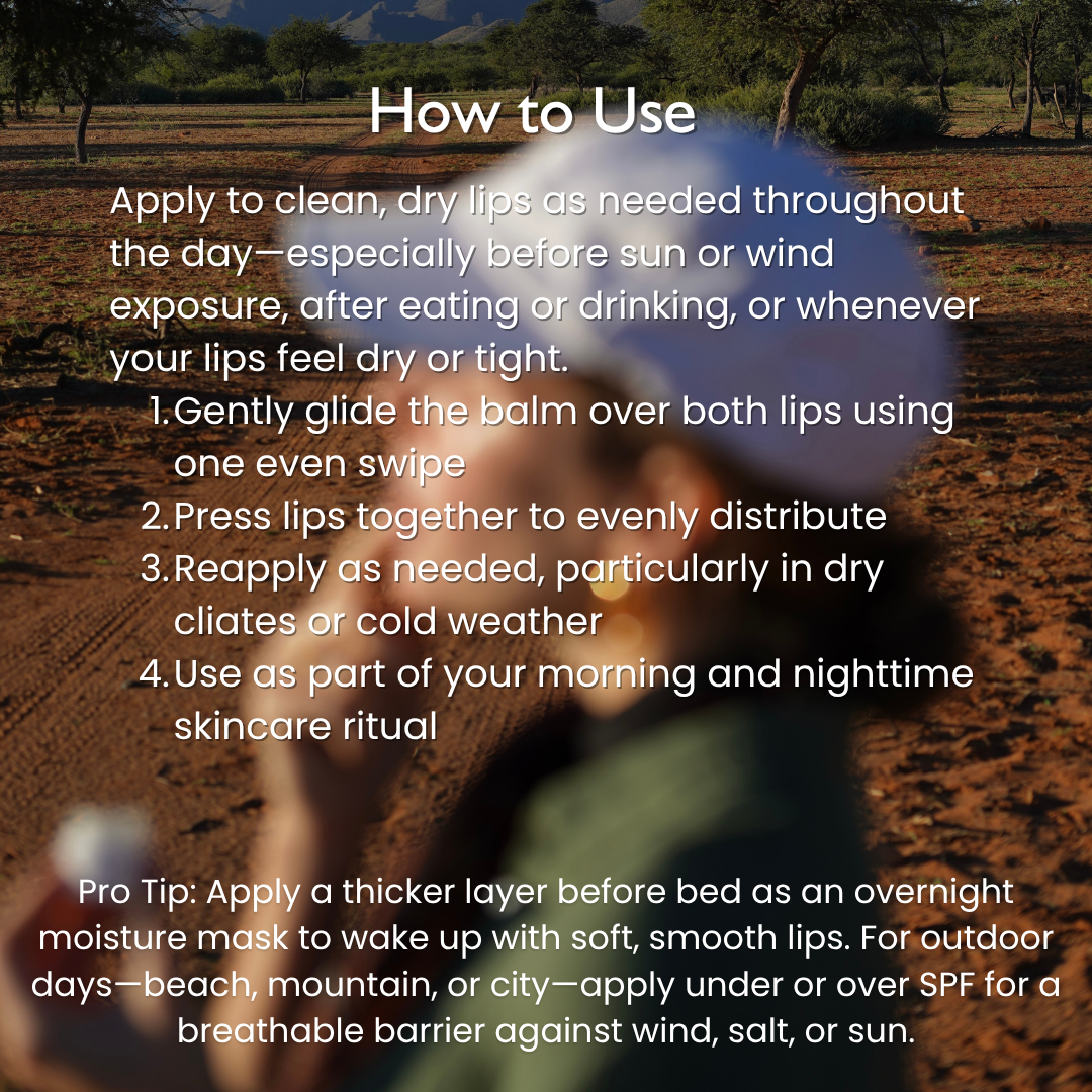 Petroleum-Free Lip Balm with Beeswax – Hydrate & Protect Naturally