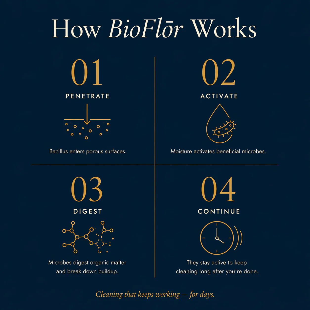 BioFlōr Bioactive Floor Cleaner
